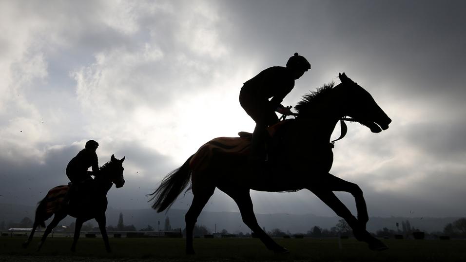 Timeform pick out three bets from South Africa on Monday